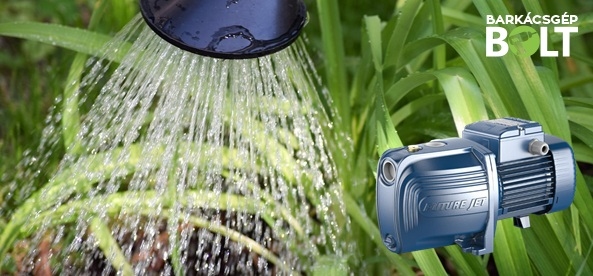 Öntözés a kertben a megfelelő kerti szivattyúval